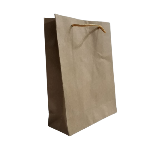 BOLSA REG. BROWN-S PEQUE?O