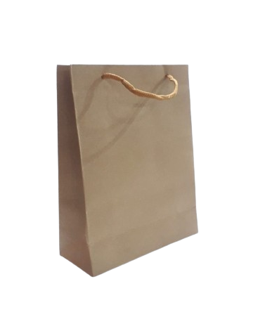 BOLSA REG. BROWN-M MEDIANO