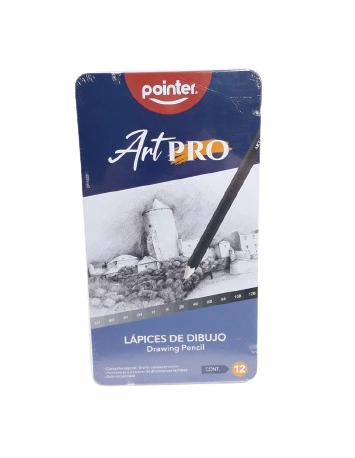 LAPIZ POINTER X12 DP-12ST*