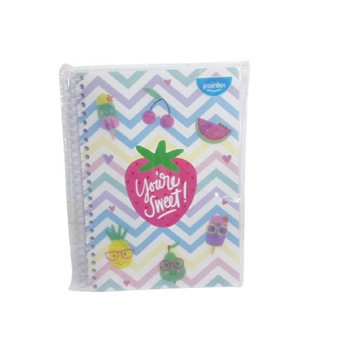 LIBRETA NOTAS NB-2379