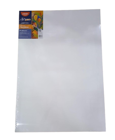 LIENZO 70X100 CA-70100 POINTER